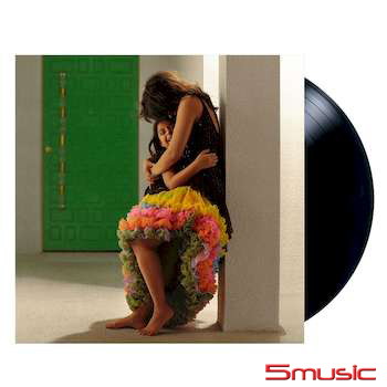 甜蜜家族 (LP黑膠唱片)