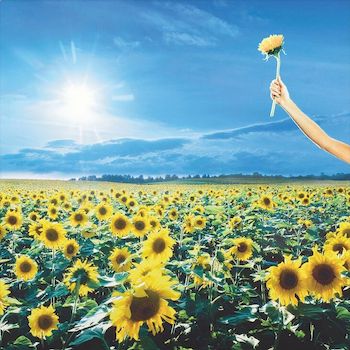 感謝精選 (2LP) 藍色彩膠, 一次性生產