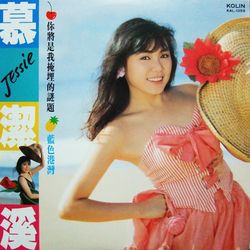 你將是我掩埋的謎題 黑膠唱片LP