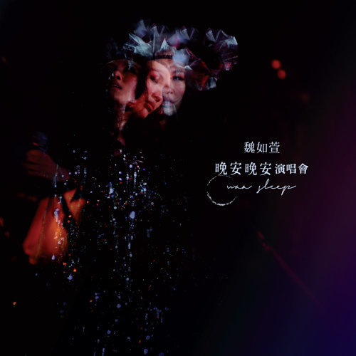 晚安晚安演唱會(2CD+2DVD)