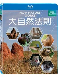 大自然法則-(藍光)