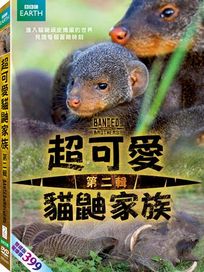 超可愛貓鼬家族 2