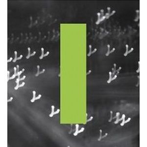 第七張正規專輯特別版「THIS IS LOVE」(C版/台壓強仁版I)