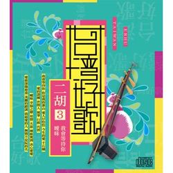 台灣好歌-二胡3