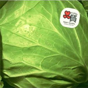 Nando Demo(進口版)