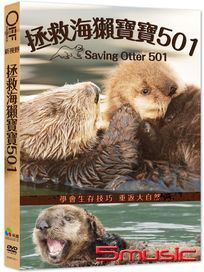 拯救海獺寶寶501