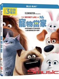 寵物當家-(藍光)