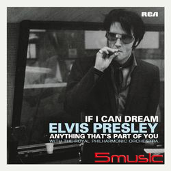 美夢成真 (7吋黑膠單曲)