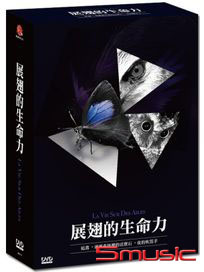展翅的生命力