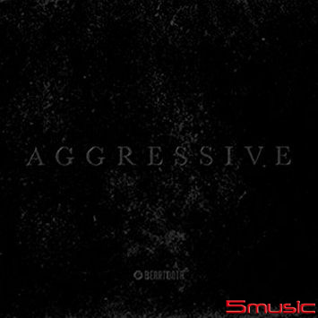 侵略攻擊(黑膠唱片)