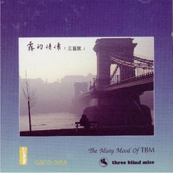 霧的情懷(金絃天碟24K)