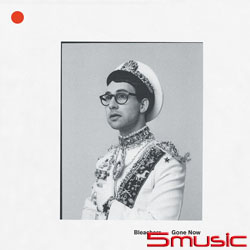 悵然若失 (LP彩膠唱片)