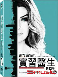 實習醫生-第13季