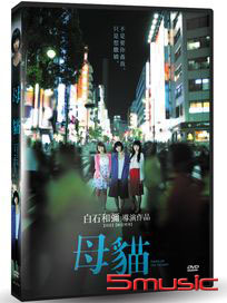 母貓
