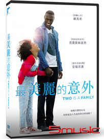 最美麗的意外 (法國電影)