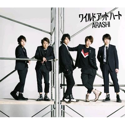 狂野的心(普通版)