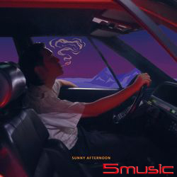 SUNNY AFTERNOON (CD)