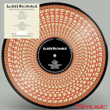 生存法則  (圖膠)