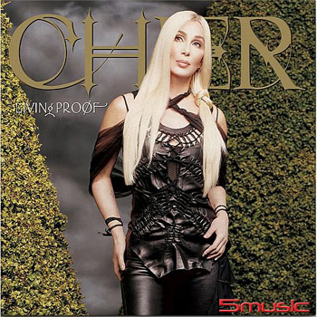 金字招牌 (彩膠)