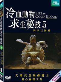 冷血動物求生秘技5-裝甲巨無霸