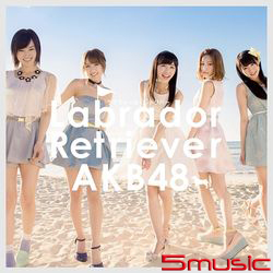 拉布拉多獵犬(Type-A)