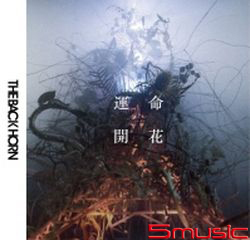 運命開花(CD+DVD初回盤)