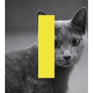 第七張正規專輯特別版「THIS IS LOVE」(C版/台壓希澈版I)