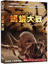 螞蟻大戰