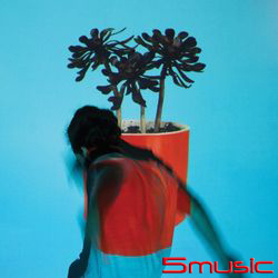 璀璨青春(LP黑膠唱片)