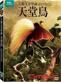 大衛艾登堡祿：天堂鳥