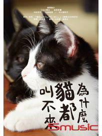 為什麼貓都叫不來