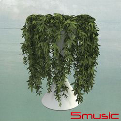 重獲新生(進口)