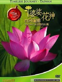 世紀台灣-婆娑花神-白河蓮鄉水世界的共舞