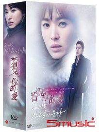 看見你的愛(又名:那年冬天風在吹/全16集)