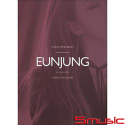 第十三張迷你專輯「WHAT`S MY NAME?」(韓國進口版/恩靜版)