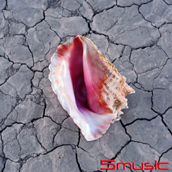 完美境界 (台壓 豪華加值盤)