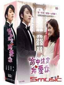 命中注定我愛你-(全20集)