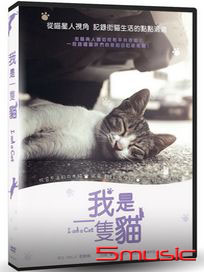 我是一隻貓