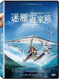 迷雁返家路(法國電影)