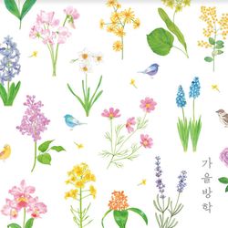 第四張專輯「The world is a handkerchief」(韓國進口版)