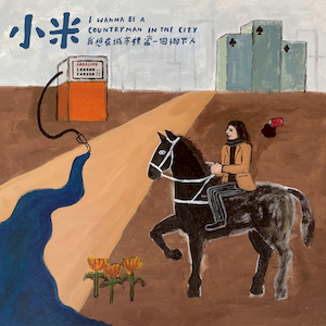 我想在城市裡當一個鄉下人(黑膠)