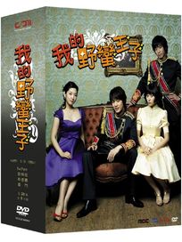 我的野蠻王子-(全20集/中文封面版)