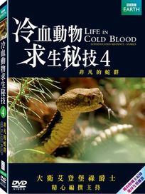 冷血動物求生秘技4-非凡的蛇群