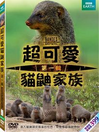 超可愛貓鼬家族 1