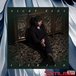 野性藤蔓(進口)