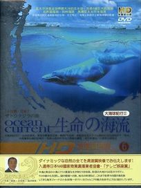 大海球紀行II 生命的海流VI-小笠原，日本