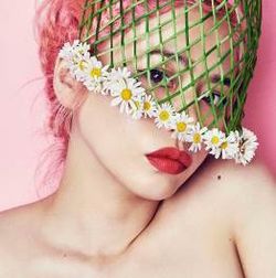 感同身受(2CD初回盤)