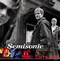 感覺出奇的好 (20周年紀念盤 德國進口)