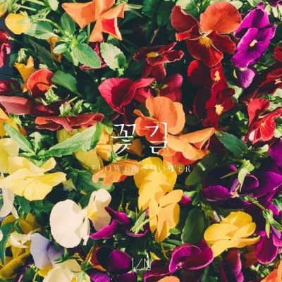 專輯「花路」(韓國進口版)