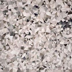 視線(日本進口)